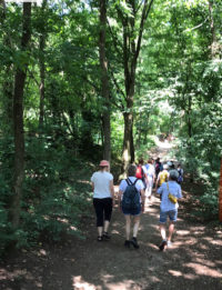 Wandeling Arnhem 21 juni2020